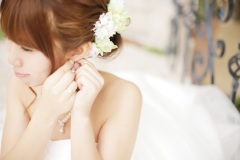 55e263705a4916c81a98183fca0dfadd