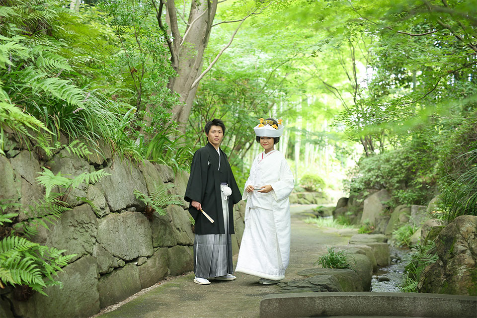 深緑が素敵です